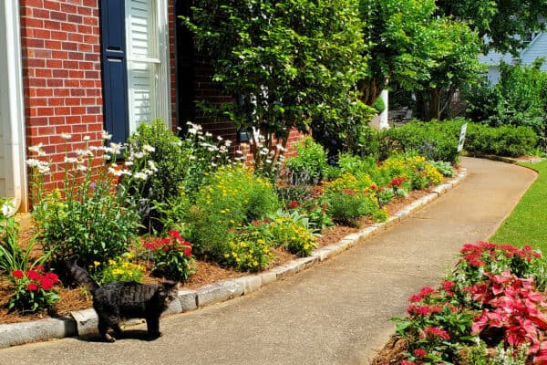 Lawrenceville landscaping with Perennial Border along Front Walk