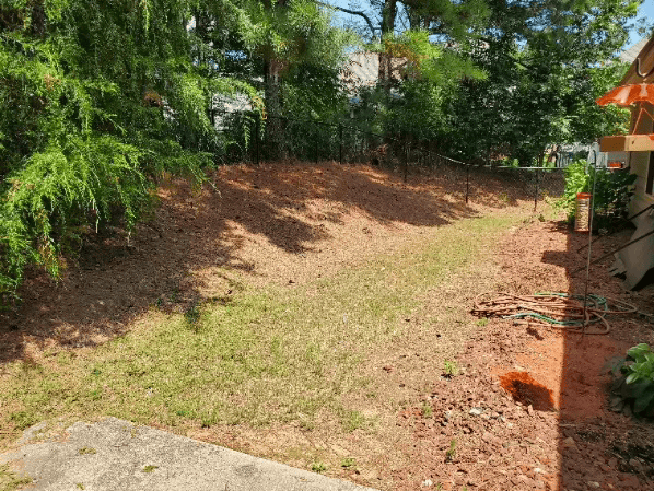 Back Yard Before Knee Wall.png